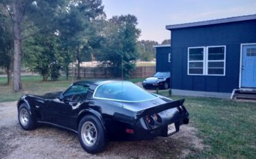 Chevrolet-Corvette-1978-5