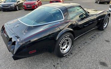 Chevrolet-Corvette-1978-6