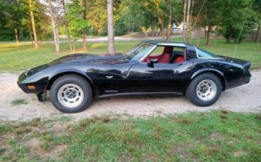 Chevrolet-Corvette-1978-6