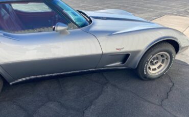 Chevrolet-Corvette-1978-8