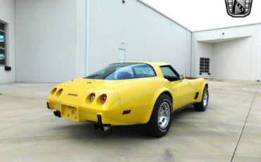 Chevrolet-Corvette-1978-8