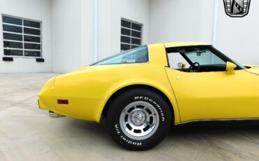 Chevrolet-Corvette-1978-9