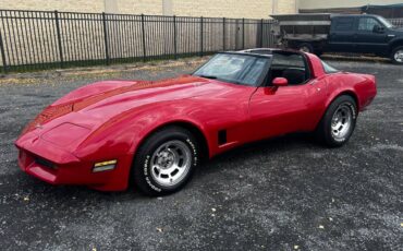 Chevrolet-Corvette-1980-11