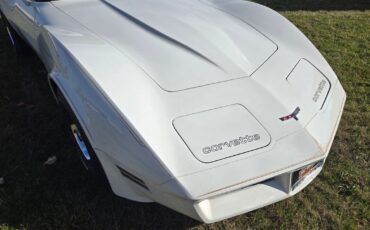 Chevrolet-Corvette-1980-12