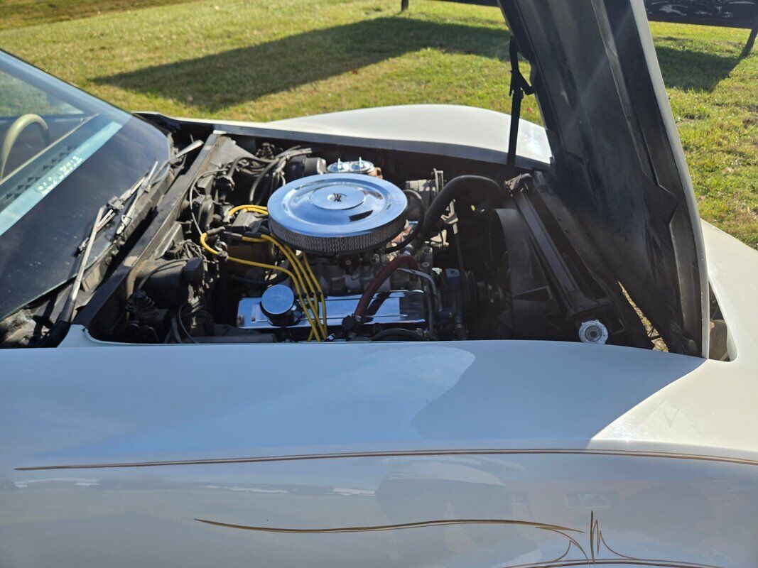 Chevrolet-Corvette-1980-34