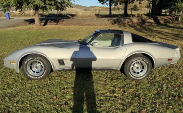 Chevrolet-Corvette-1980-5