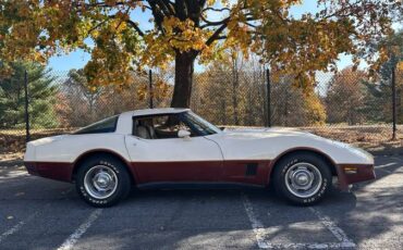 Chevrolet-Corvette-1981-1