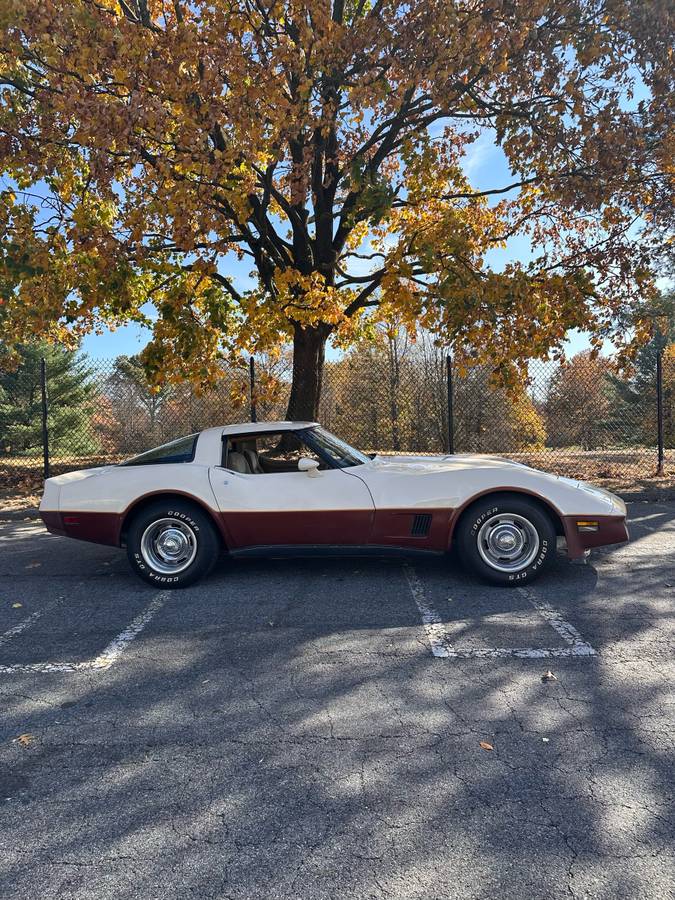 Chevrolet-Corvette-1981-1