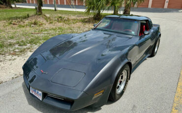 Chevrolet-Corvette-1981-18