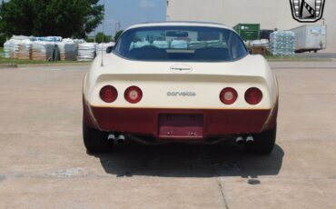 Chevrolet-Corvette-1981-3