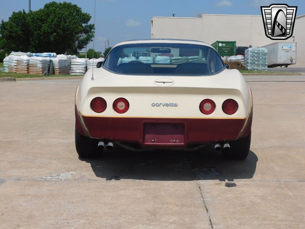 Chevrolet-Corvette-1981-3