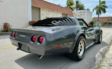 Chevrolet-Corvette-1981-4