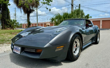 Chevrolet Corvette  1981