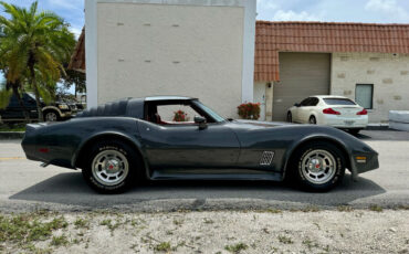 Chevrolet-Corvette-1981-5