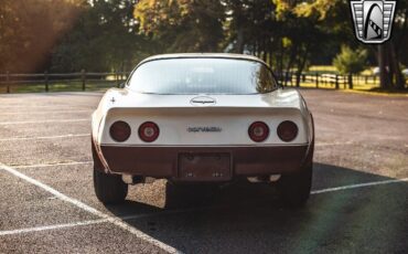 Chevrolet-Corvette-1981-5