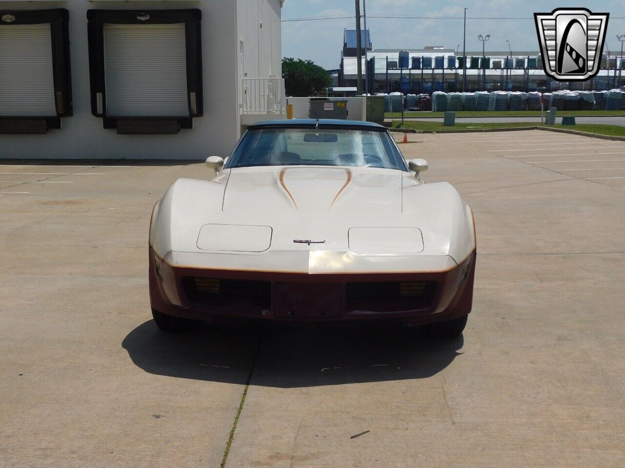 Chevrolet-Corvette-1981-5