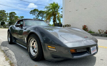 Chevrolet-Corvette-1981-6