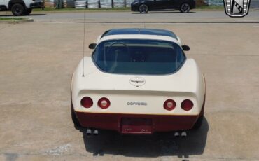 Chevrolet-Corvette-1981-6