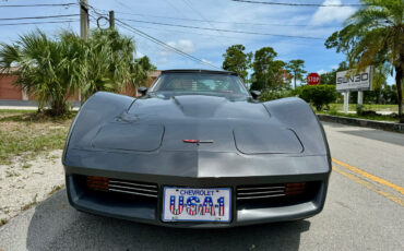 Chevrolet-Corvette-1981-7