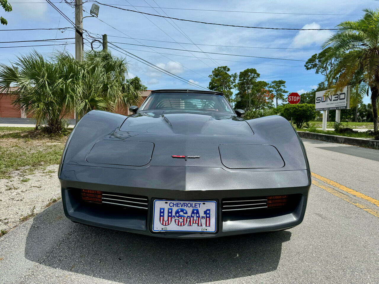 Chevrolet-Corvette-1981-7