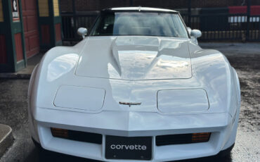 Chevrolet-Corvette-1981-8