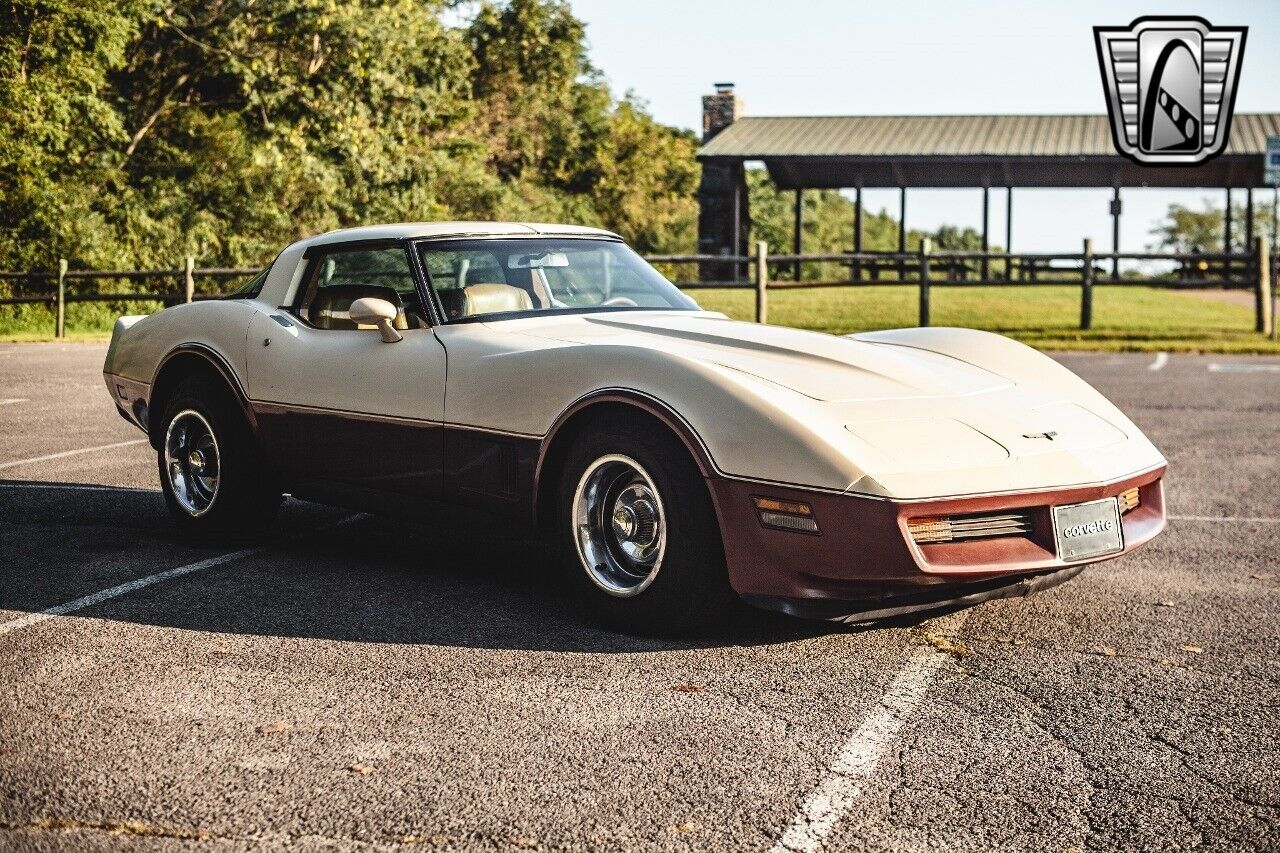 Chevrolet-Corvette-1981-8