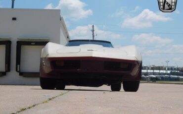 Chevrolet-Corvette-1981-8