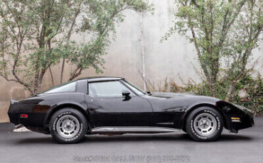 Chevrolet-Corvette-1981-9