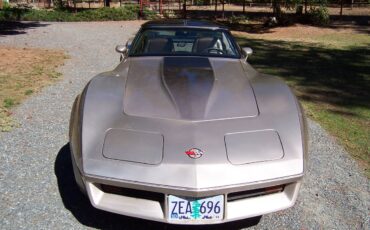 Chevrolet-Corvette-1982-3