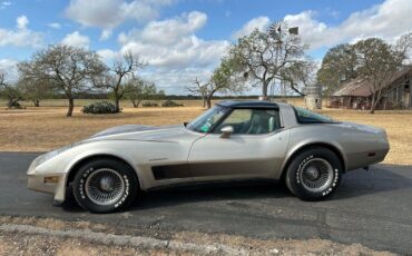 Chevrolet-Corvette-1982-4