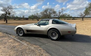 Chevrolet-Corvette-1982-5