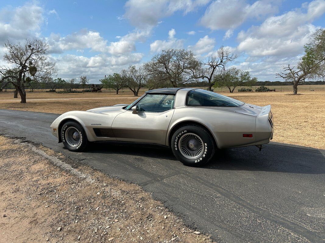 Chevrolet-Corvette-1982-5