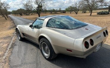 Chevrolet-Corvette-1982-6