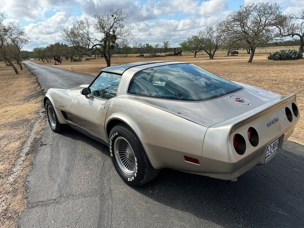 Chevrolet-Corvette-1982-6