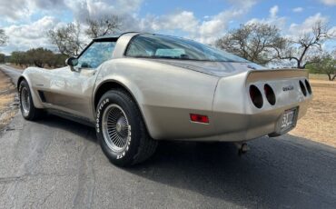 Chevrolet-Corvette-1982-7