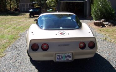 Chevrolet-Corvette-1982-8