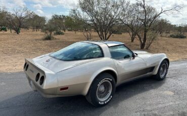 Chevrolet-Corvette-1982-8