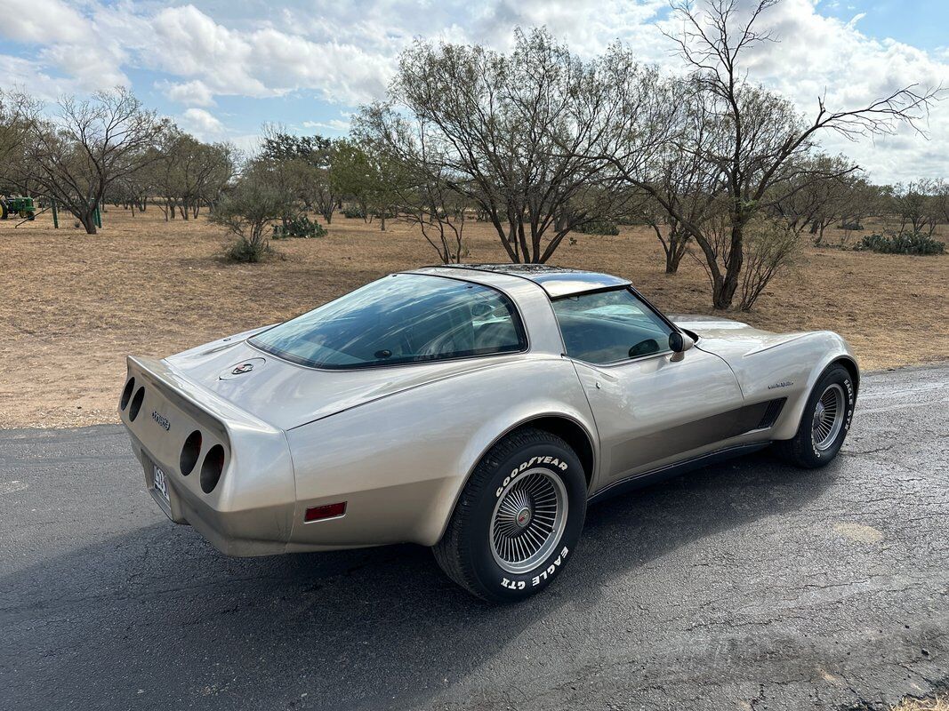 Chevrolet-Corvette-1982-8