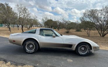 Chevrolet-Corvette-1982-9