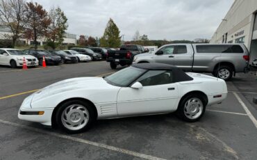 Chevrolet-Corvette-1991-16