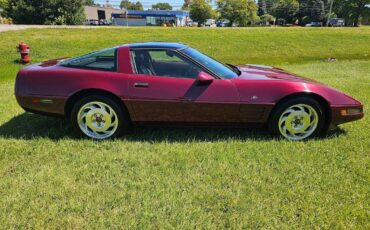 Chevrolet-Corvette-1993-11