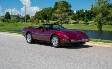 Chevrolet-Corvette-1993-8