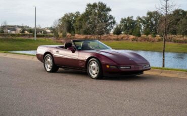 Chevrolet-Corvette-1993-8