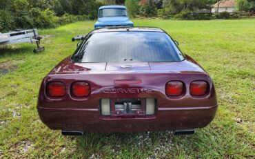 Chevrolet-Corvette-40th-edition-1993-5