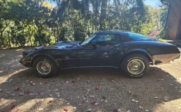 Chevrolet-Corvette-Cabriolet-1979-1