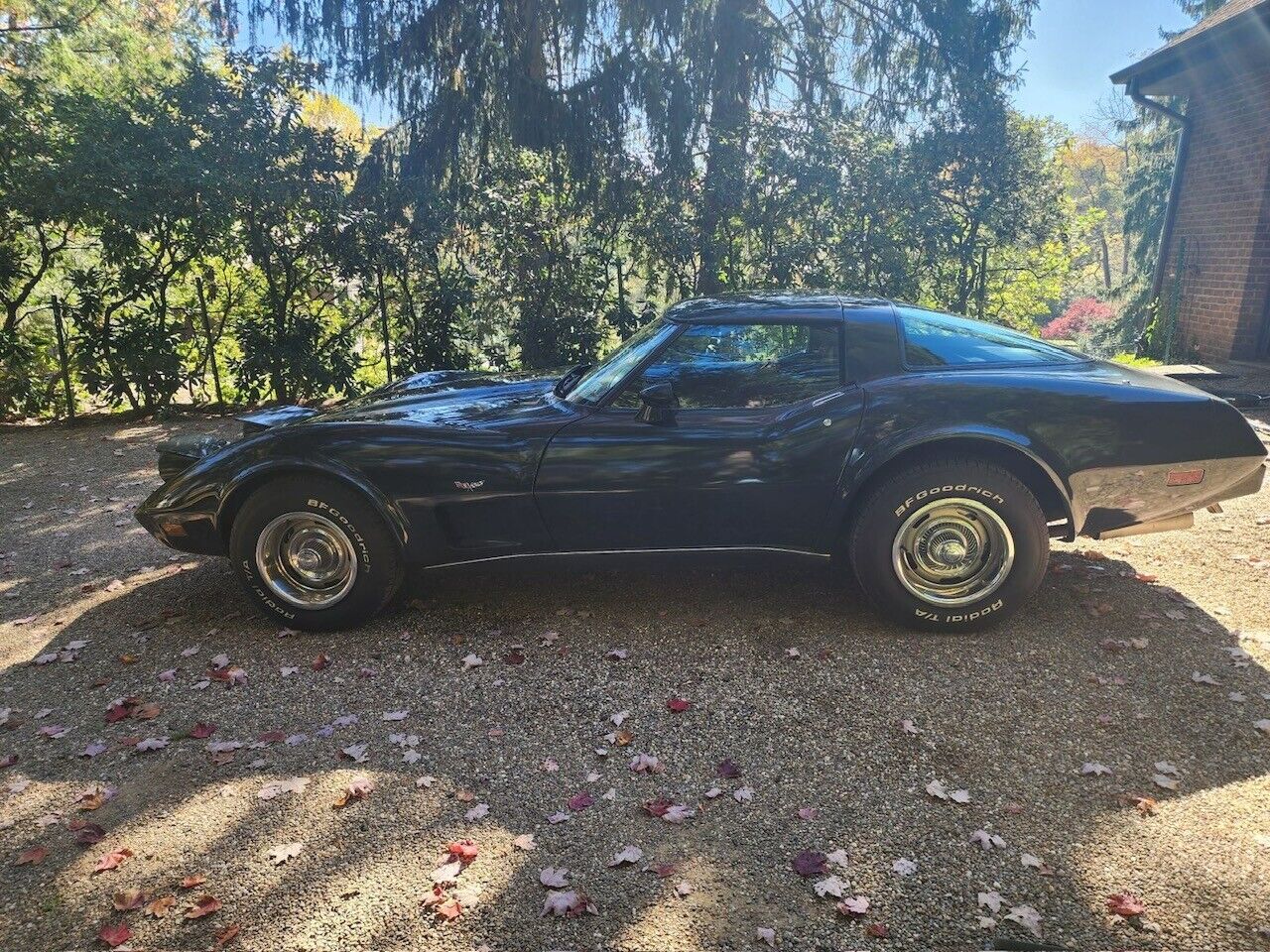 Chevrolet-Corvette-Cabriolet-1979-1