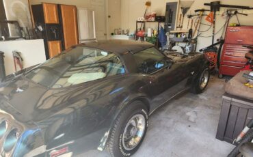 Chevrolet-Corvette-Cabriolet-1979-14