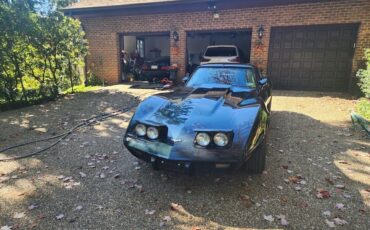 Chevrolet-Corvette-Cabriolet-1979-3