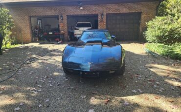 Chevrolet-Corvette-Cabriolet-1979-5