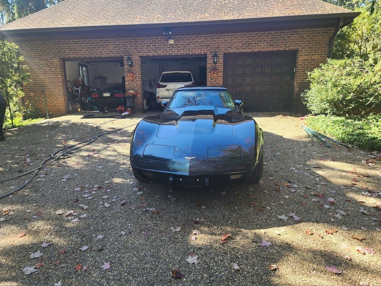 Chevrolet-Corvette-Cabriolet-1979-5